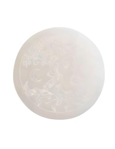 Disque en Sélénite Arbre de vie - Purifiez votre espace avec ce minéral naturel de qualité supérieure 2