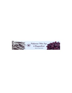 Encens Sauge Blanche & Sang Dragon - Senteurs | encens.business
