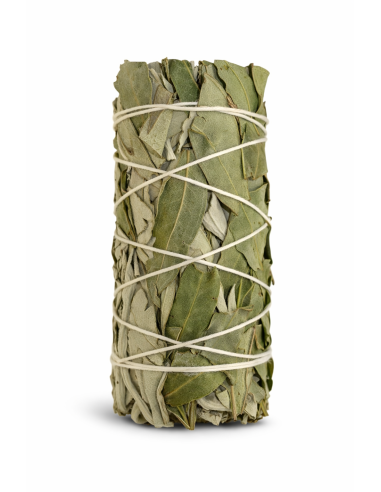 Fagot de sauge blanche et eucalyptus