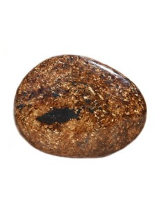 Photo de Palet en Bronzite - encens.business - Boutique ésotérique en ligne - vente de Palet en Bronzite