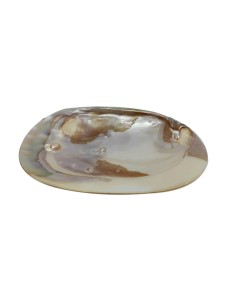 Photo de Coquillage en nacre - encens.business - Boutique ésotérique en ligne - vente de Coquillage en nacre