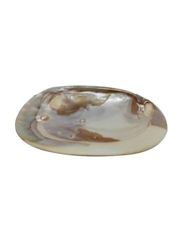 Photo de Coquillage en nacre - encens.business - Boutique ésotérique en ligne - vente de Coquillage en nacre