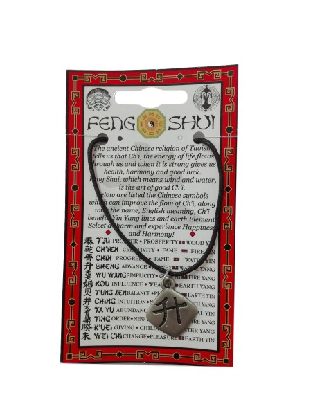 Photo de Pendentif feng shui avec symbole du SHENG - encens.business - Boutique ésotérique en ligne - vente de Pendentif feng shui ave