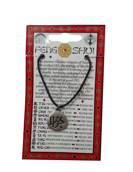Photo de Pendentif feng shui avec symbole du K'UEI - encens.business - Boutique ésotérique en ligne - vente de Pendentif feng shui ave