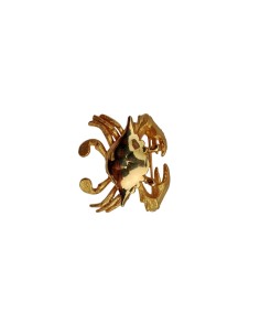 Photo de Broche du zodiac Cancer - encens.business - Boutique ésotérique en ligne - vente de Broche du zodiac Cancer
