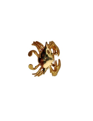 Photo de Broche du zodiac Cancer - encens.business - Boutique ésotérique en ligne - vente de Broche du zodiac Cancer