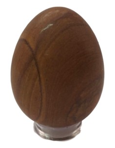 Photo de Oeuf en bois fossile - encens.business - Boutique ésotérique en ligne - vente de Oeuf en bois fossile