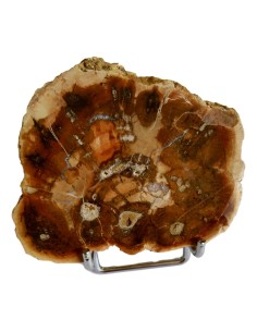 Photo de Tranche de bois fossilisé - encens.business - Boutique ésotérique en ligne - vente de Tranche de bois fossilisé