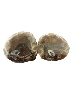 Photo de Géodinos en agate - encens.business - Boutique ésotérique en ligne - vente de Géodinos en agate