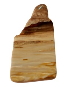 Photo de Tranche de bois silicifié - encens.business - Boutique ésotérique en ligne - vente de Tranche de bois silicifié
