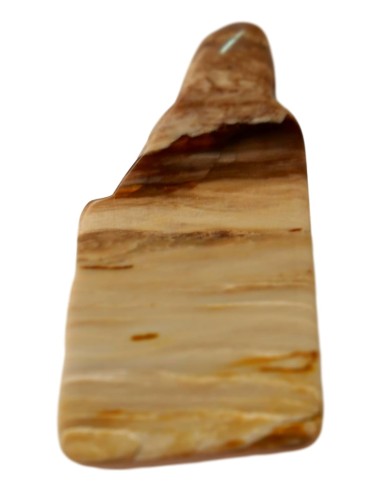 Photo de Tranche de bois silicifié - encens.business - Boutique ésotérique en ligne - vente de Tranche de bois silicifié