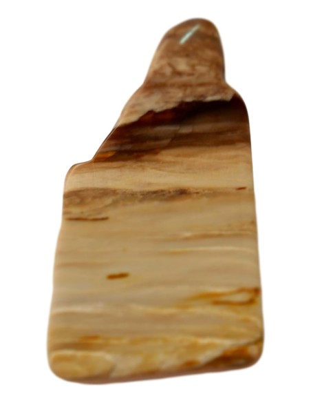 Photo de Tranche de bois silicifié - encens.business - Boutique ésotérique en ligne - vente de Tranche de bois silicifié