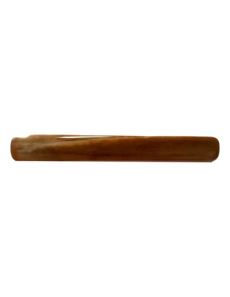 Tranche de bois silicifié