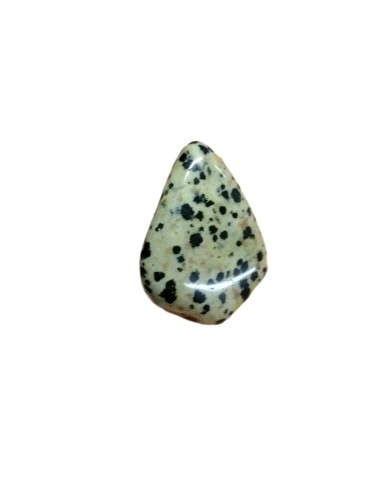 Photo de Jaspe dalmatien en Pierre roulée 1/2 cm - encens.business - Boutique ésotérique en ligne - vente de Jaspe dalmatien en Pierre