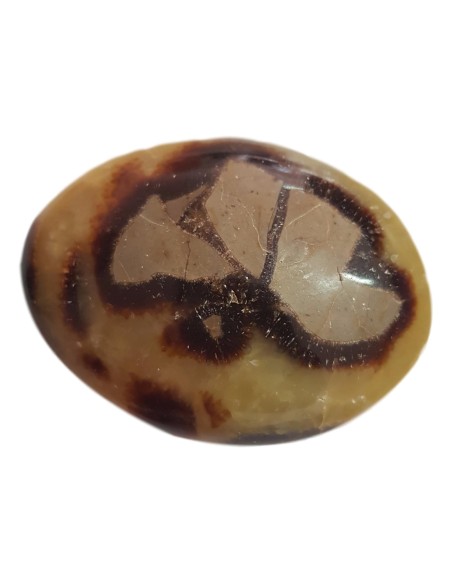 Photo de Galet en jaspe septaria 7 cm - encens.business - Boutique ésotérique en ligne - vente de Galet en jaspe septaria 7 cm