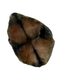 Photo de Palet en Chiastolite - encens.business - Boutique ésotérique en ligne - vente de Palet en Chiastolite