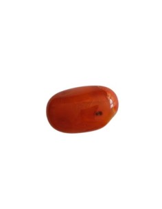 Photo de Cornaline en pierre roulée 3/4cm - encens.business - Boutique ésotérique en ligne - vente de Cornaline en pierre roulée 3/4cm